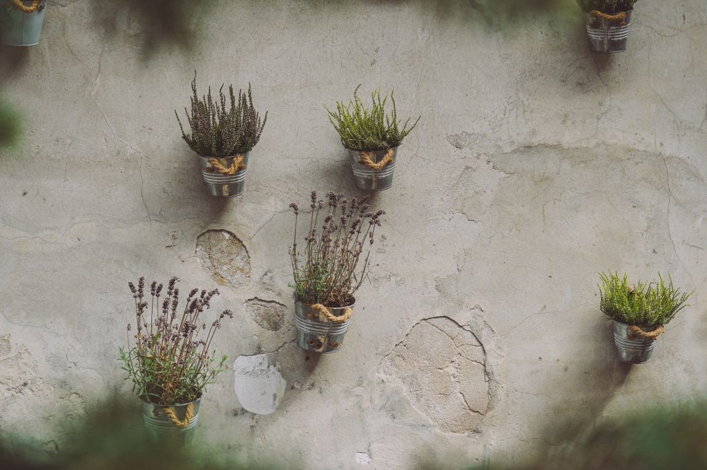 Garden Idea For Small Space: Smart Urban Gardening Guide
